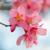 Angela Burkey's photo