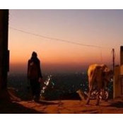 Elisa Gabbricci's photo