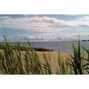 Amy Koepke's photo
