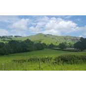 Salsabil Dehnen's photo