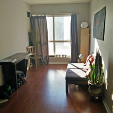 my condo