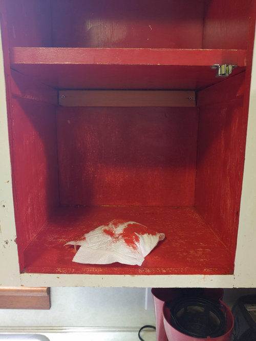 CitriStrip clean up?