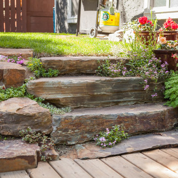Natural Deck