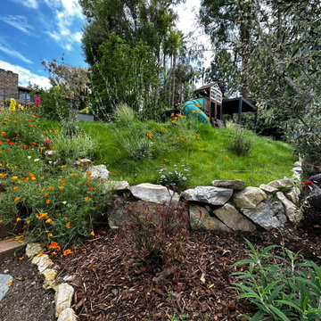 Childhood Oasis