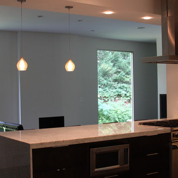 Buckhead Modern Architectural Home Remodel