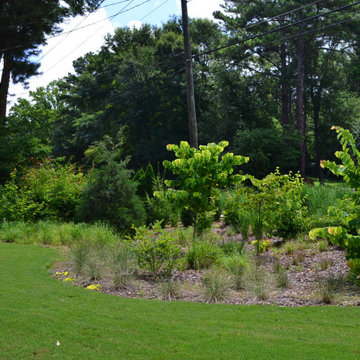 Decatur Woodland Screen