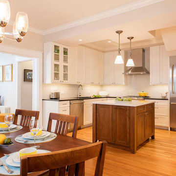 Tenleytown Kitchen Remodel