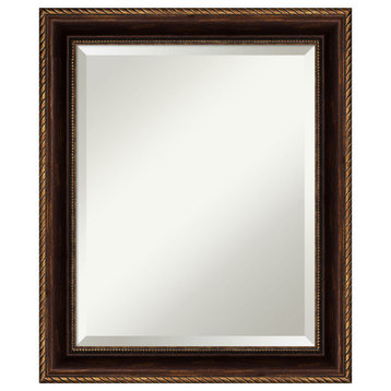 Corded Bronze Beveled Wall Mirror 20 x 24 in.