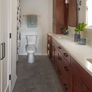 Remastered Master Bath - Glen Ellyn, IL