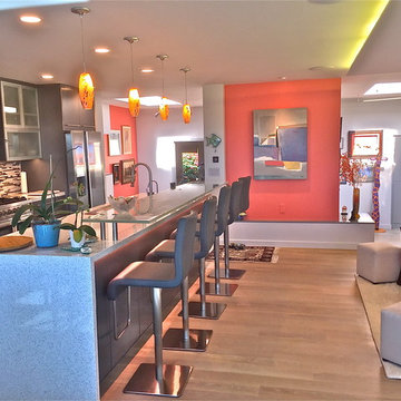 Carr Residence Interior