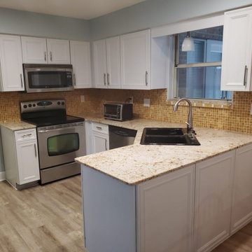 Interior (kitchen) Painting Project