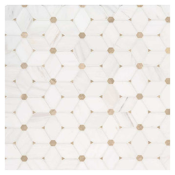 Cecily Pattern Polished Marble Pattern Marble