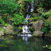 Tonda Lawrence's photo