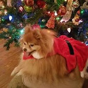 Cara Gilbert's photo