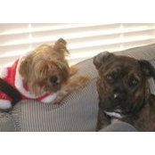 Lisa Bennett's photo