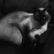 Stephanie Lecompte's photo