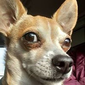 Kim Clemmons's photo
