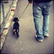 Dani Greco's photo