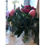 laura davies's photo