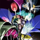 Mattes Kempf's photo