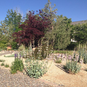 Perennial plantings for the high desert