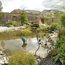back yard pond idea