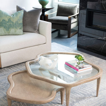 Preston Hollow Modern Minimalist Furnishing