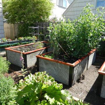 Backyard Gardens