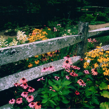 Gardens & Softscapes