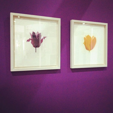 vignettes of various projects