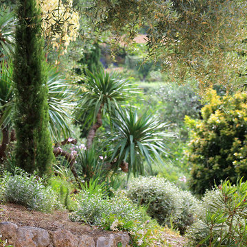 Landscape Designer Cannes | The Scents of Provence