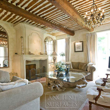 Living Room Fireplaces