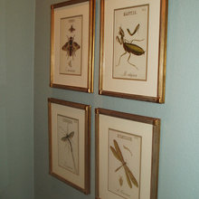 Bilder