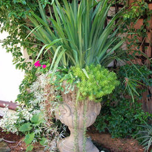 pots