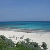 Eleanor Grimm's photo