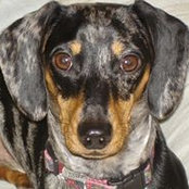 Marion Hahn-Elliot's photo
