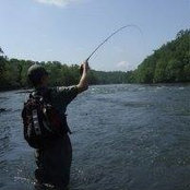 Mark Haven's photo
