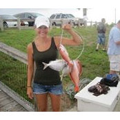 Patricia Elkin's photo