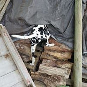 Susan Whiting's photo