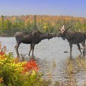 Lily Valley's photo