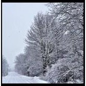 James Willard's photo