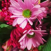 Deanna Dyce's photo