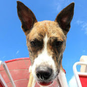 John Ruemker's photo