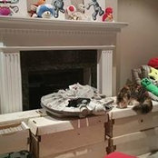 Michael Malone's photo
