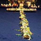 Barbara Thoelke's photo