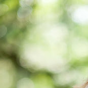 Bess McMillan's photo