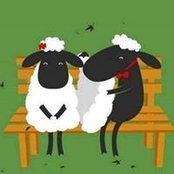 Foto von Trudy Grasso-Roe