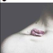 Farinaz Noorzad's photo
