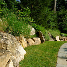 Landscape Ideas