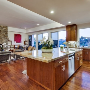New Home Design - Contemporary, Luxury Hollywood Hills Home, Los Angeles, CA